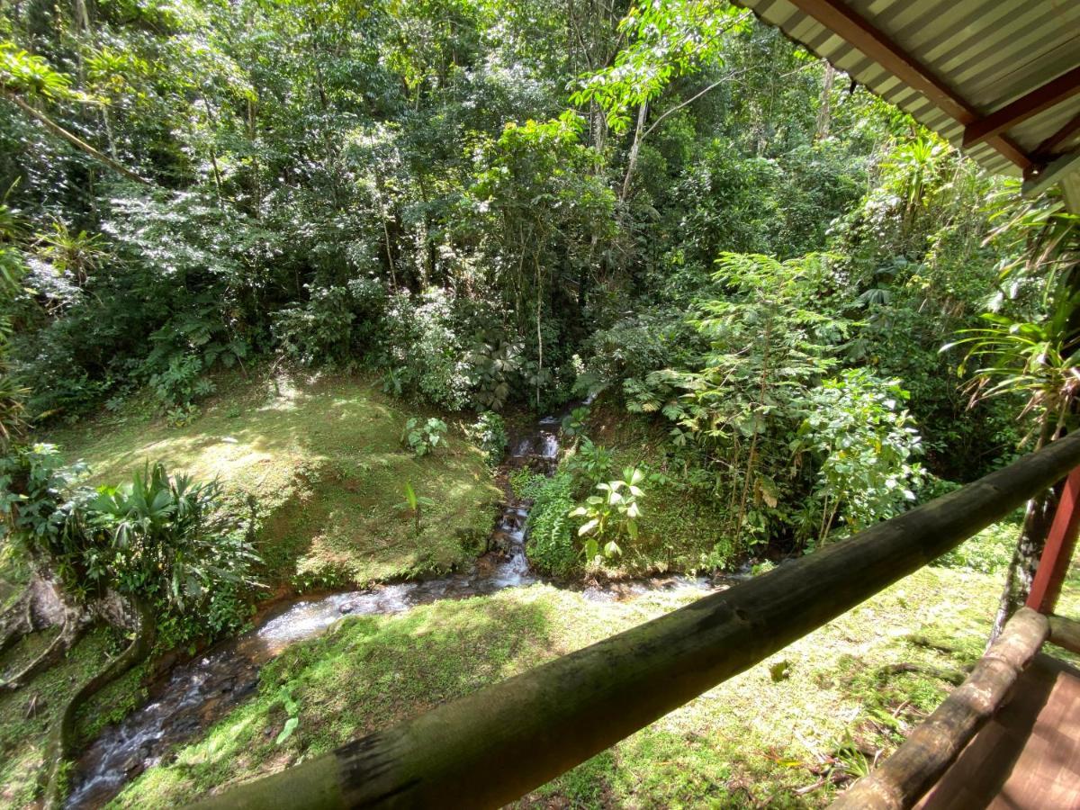 Esquipulas Rainforest Quepos Exteriér fotografie
