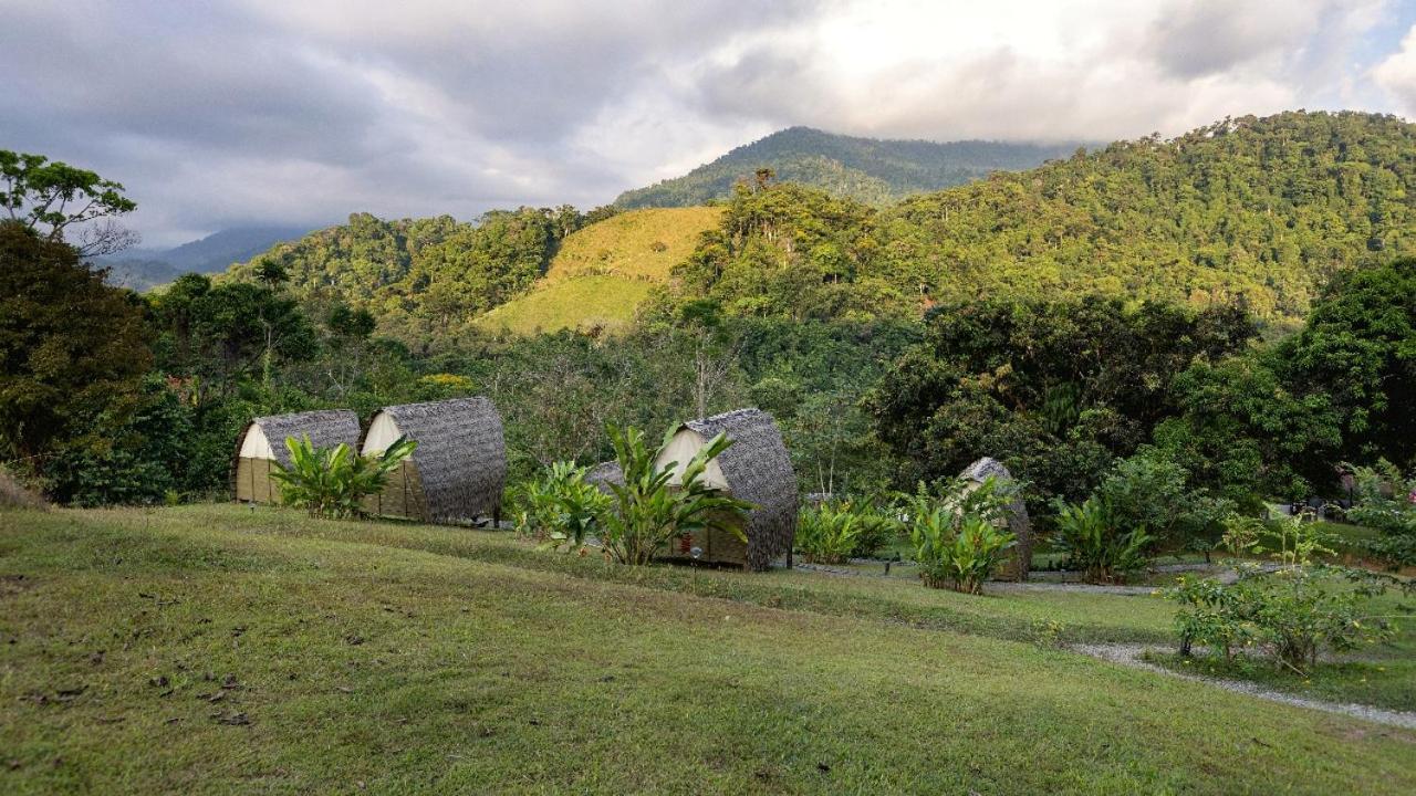 Esquipulas Rainforest Quepos Exteriér fotografie